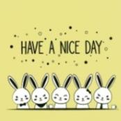 پوشه دکمه‌دار A4 پاستلی طرح‌دار PAPCO DB-42180 - 0