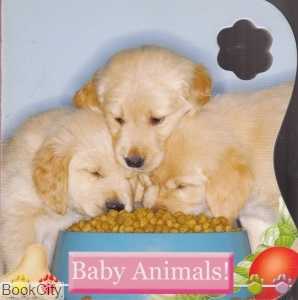 Baby Animals