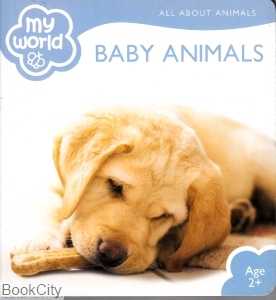 Baby Animal