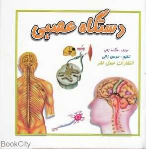 دستگاه عصبی