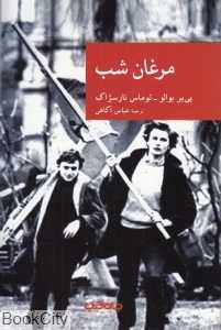مرغان شب