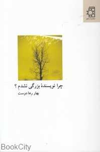 چرا نویسنده بزرگی نشدم
