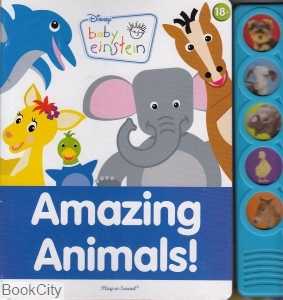 Amazing Animals