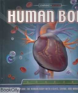 Human Body