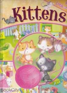 Kittens Look & Find
