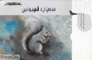 سنجاب کم‌حواس