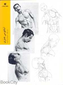 آناتومی هنری