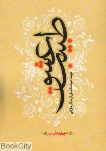 طبیب عشق (عرصه حیات انسان از منظر عارفان)