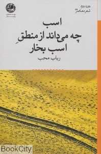 اسب چه می‌داند از منطق اسب بخار
