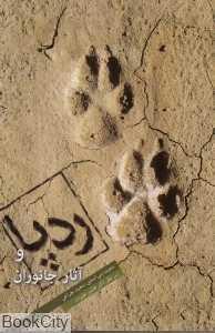 item.website_item_name