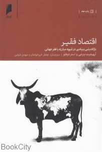 اقتصاد فقیر