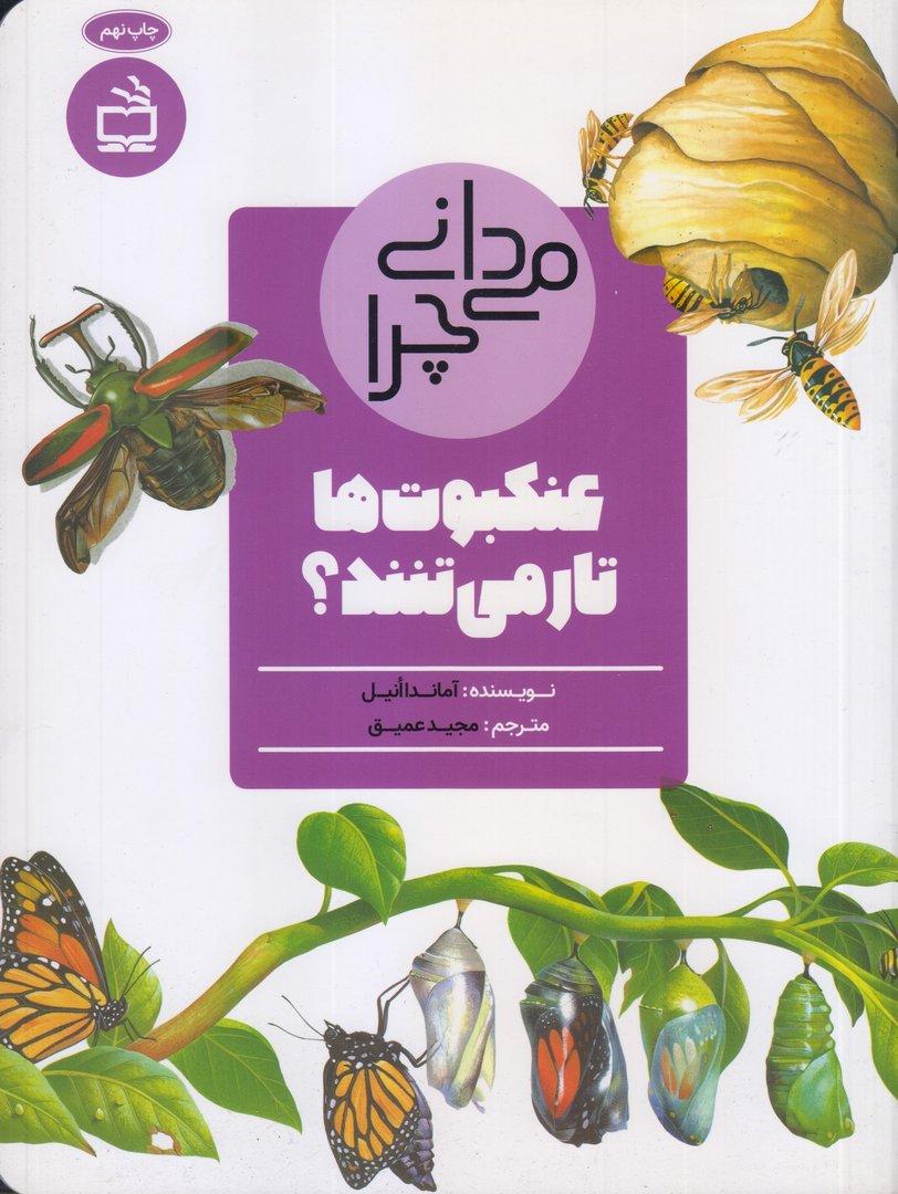 می‌دانی چرا عنکبوت‌ها تار می‌تنند