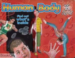 Human Body