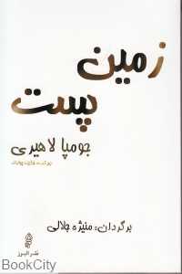 زمین پست