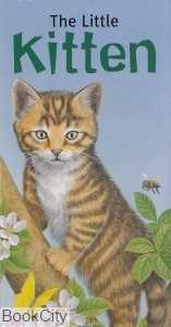 The Little Kitten