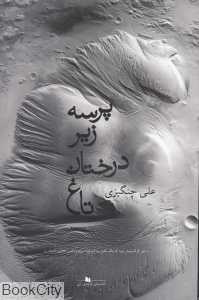 پرسه زیر درختان تاغ (چشمه)