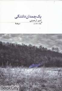 یک چمدان دلتنگی