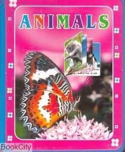 شناخت حیوانات Animals (کتاب فومی)