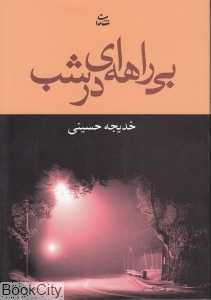 بی‌راهه‌ای در شب