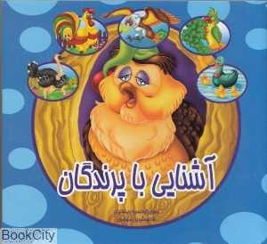 آشنایی با پرندگان