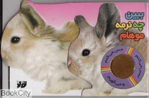 item.website_item_name