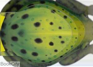 Frog Barrons Die Cut