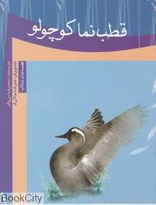 قطب‌نما کوچولو
