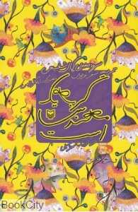 گربه یک مهندس است (تصویرگر ایلگار رحیمی)