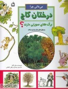 می‌دانی چرا درختان کاج برگ‌های سوزنی دارند
