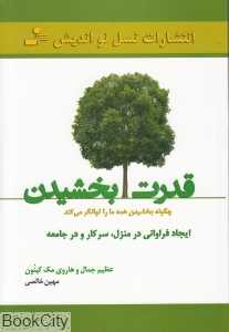 قدرت بخشیدن (چگونه بخشیدن همه ما را توانگر می‌کند)