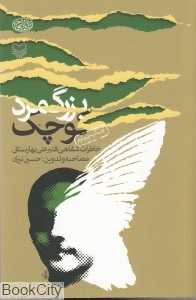 بزرگ‌مرد کوچک
