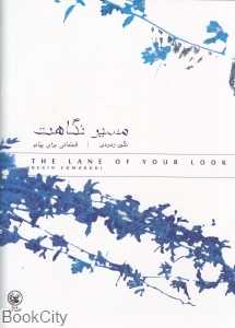 مسیر نگاهت (عطائی)