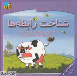 شناخت رابطه‌ها