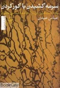 سرمه کشیدن یا کور کردن (یادداشت‌هایی درباره جامعه‌شناسی حقوق)