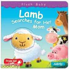 Lamb Searches for Her Mom