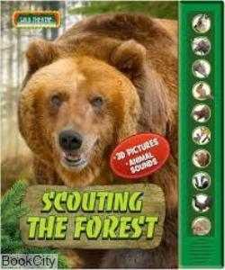 Scouting The Forest