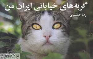 گربه‌های خیابانی ایران من
