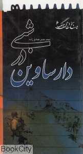 شبی در دارساوین