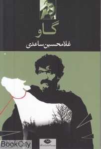 گاو (نگاه)