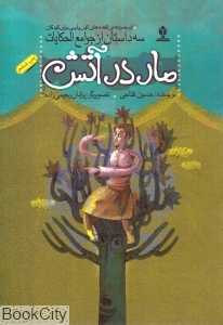 مار در آتش (قصه‌های کهن پارسی برای کودکان) (جوامع‌الحکایات)