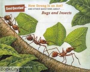 Bugs and Insects