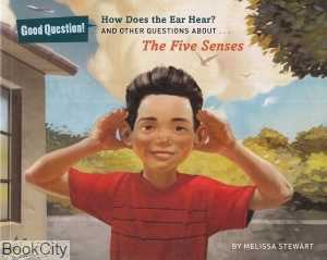 The Five Senses