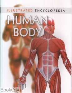 Human Body 6446
