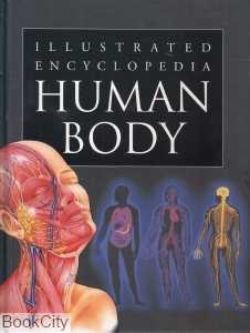 Human Body 7337
