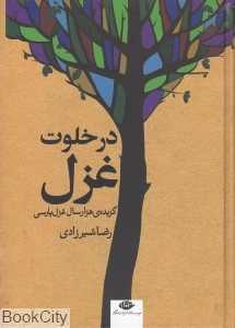 در خلوت غزل