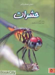 حشرات (دنیای هیجان‌انگیز 1)