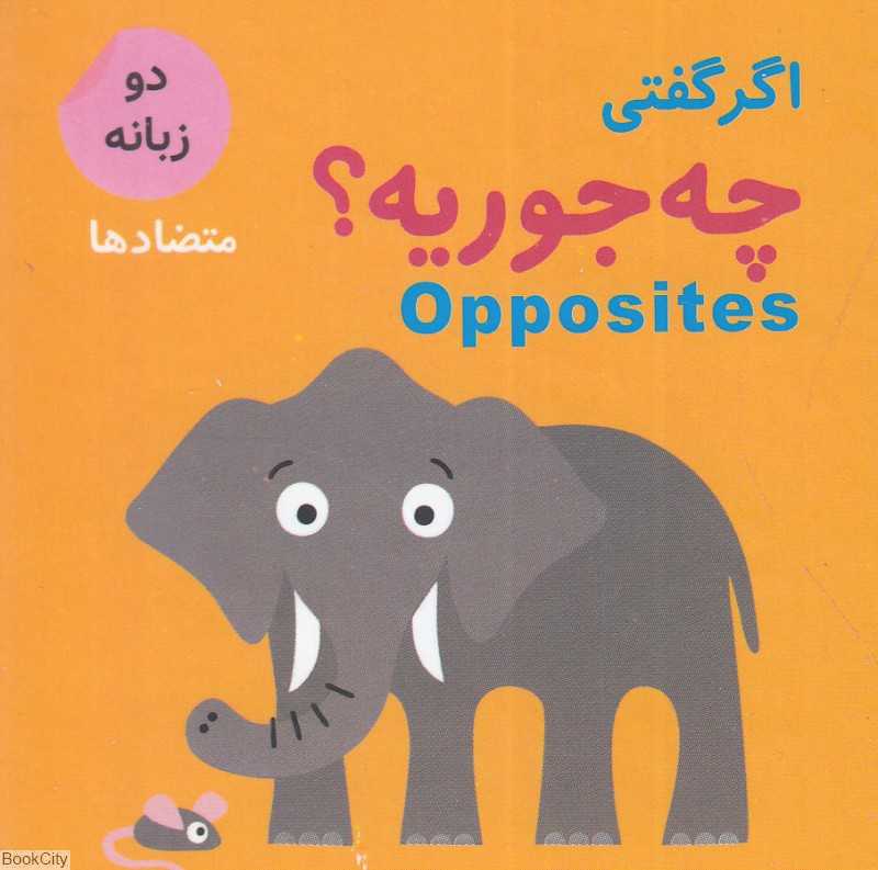 اگر گفتی چه جوریه