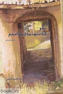 بگو که تنها به دنیا آمدم  (مجموعه شعر)