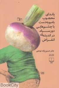 پاندای محجوب بامبو به دست به چشم‌هایی دورسیاه در اندیشه انقراض