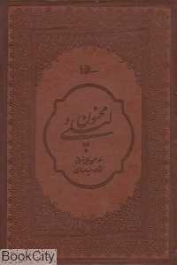 لیلی و مجنون (طرح چرم وزیری با قاب میردشتی)